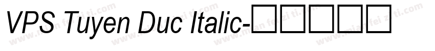 VPS Tuyen Duc Italic字体转换